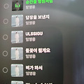 댓글 첨부 이미지