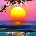 댓글 첨부 이미지