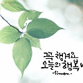 댓글 첨부 이미지