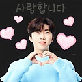 댓글 첨부 이미지