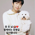 댓글 첨부 이미지