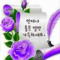 댓글 첨부 이미지