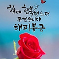댓글 첨부 이미지