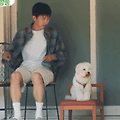 댓글 첨부 이미지