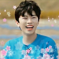 댓글 첨부 이미지