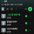 댓글 첨부 이미지