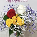 댓글 첨부 이미지