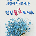 댓글 첨부 이미지