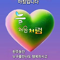 댓글 첨부 이미지