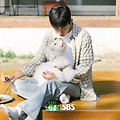 댓글 첨부 이미지