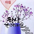 댓글 첨부 이미지