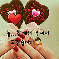 댓글 첨부 이미지