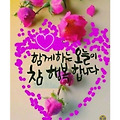 댓글 첨부 이미지