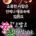 댓글 첨부 이미지