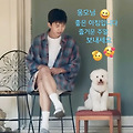 댓글 첨부 이미지