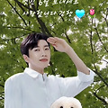 댓글 첨부 이미지