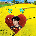댓글 첨부 이미지