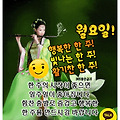 댓글 첨부 이미지