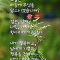 댓글 첨부 이미지