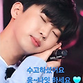 댓글 첨부 이미지