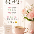 댓글 첨부 이미지