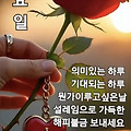 댓글 첨부 이미지