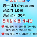 댓글 첨부 이미지