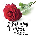 댓글 첨부 이미지