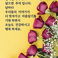 댓글 첨부 이미지