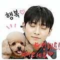 댓글 첨부 이미지