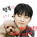 댓글 첨부 이미지