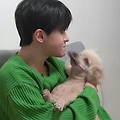 댓글 첨부 이미지