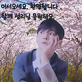 댓글 첨부 이미지