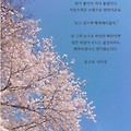 '보고있으면 행복해지' 글에 포함된 이미지