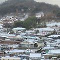 '간밤에 눈님이 내리셨' 글에 포함된 이미지