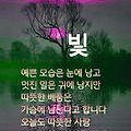 '좋아보여서' 글에 포함된 이미지