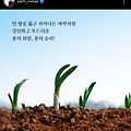 '대파 같으다대파 맞죠' 글에 포함된 이미지