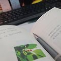 '짧은 글을 좋아한다. ' 글에 포함된 이미지