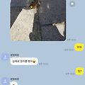 '난 꽃이였다 ㅎㅎㅎㅎ' 글에 포함된 이미지