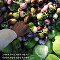 '간장  작년 가을큰 항' 글에 포함된 이미지