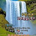 댓글 첨부 이미지