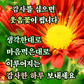 댓글 첨부 이미지