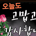 댓글 첨부 이미지