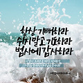 댓글 첨부 이미지
