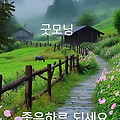 댓글 첨부 이미지