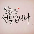 댓글 첨부 이미지