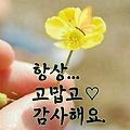 댓글 첨부 이미지