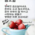댓글 첨부 이미지