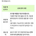 댓글 첨부 이미지