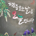 댓글 첨부 이미지